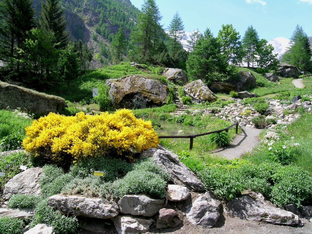 Giardino botanico alpino Paradisia: apertura estiva