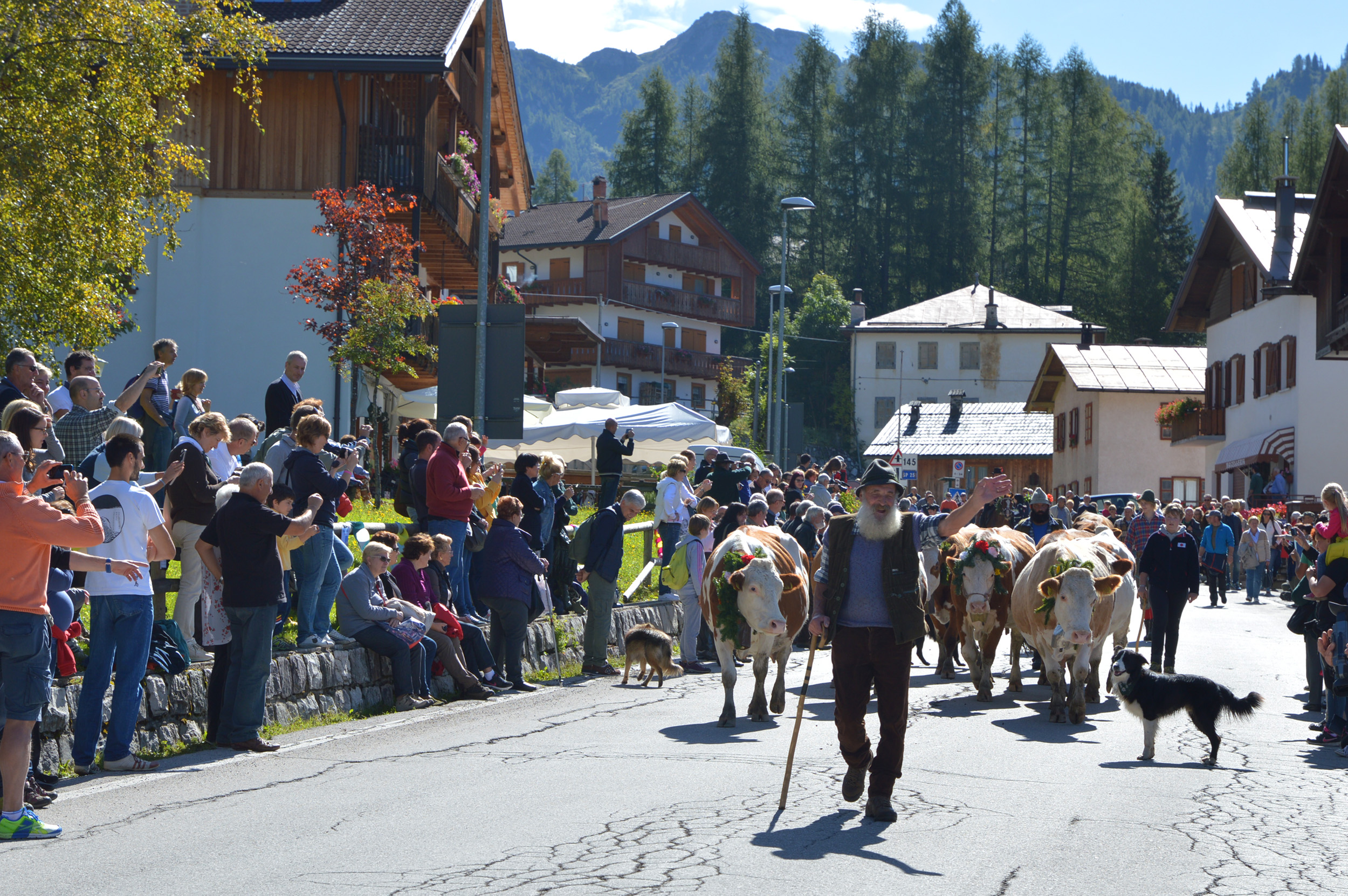 La Desmontegada di Selva di Cadore