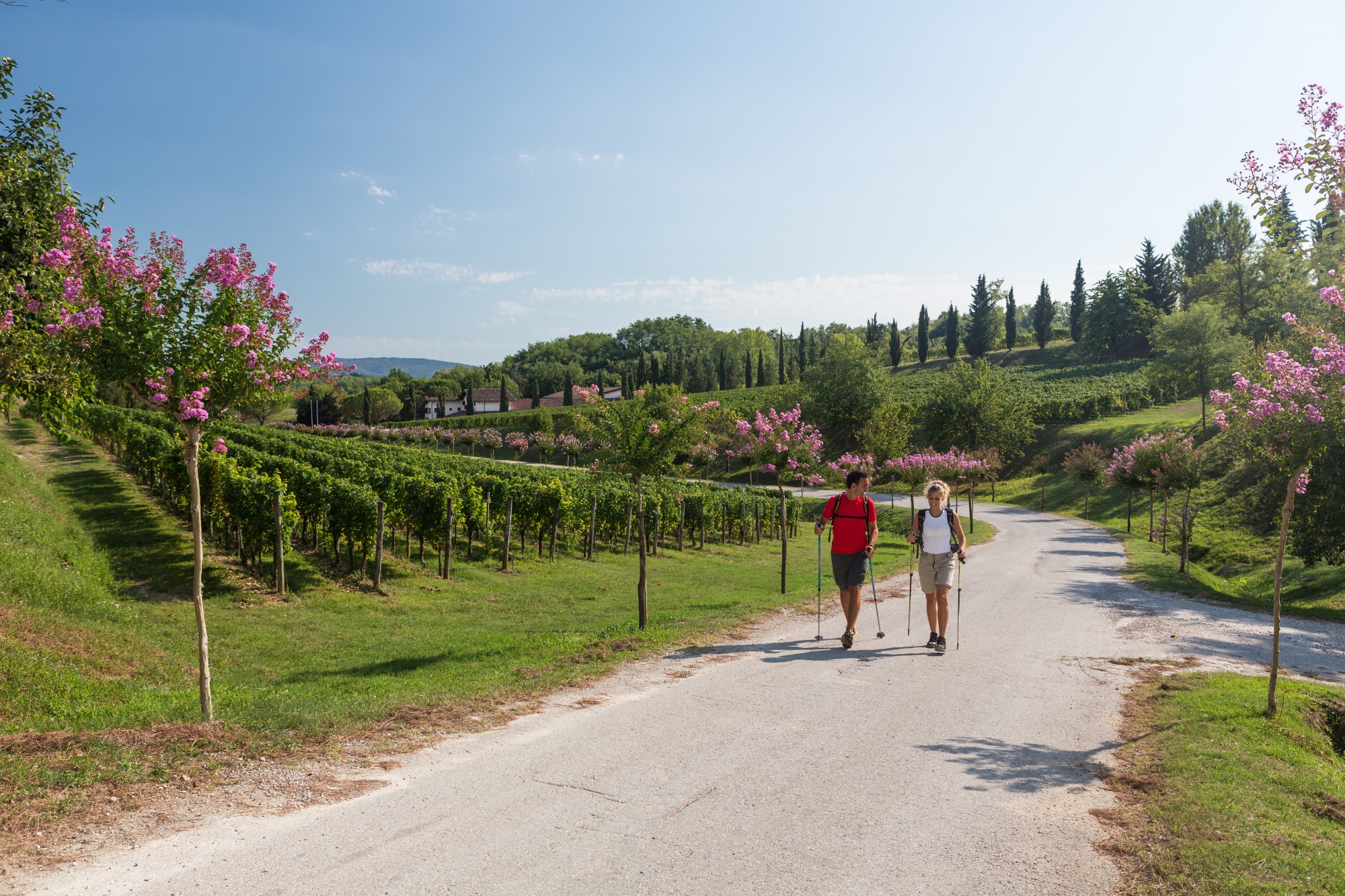 Trekking Alpe Adrai Trail - Tappa attraverso i paesaggi del Collio, in Friuli Venezia Giulia