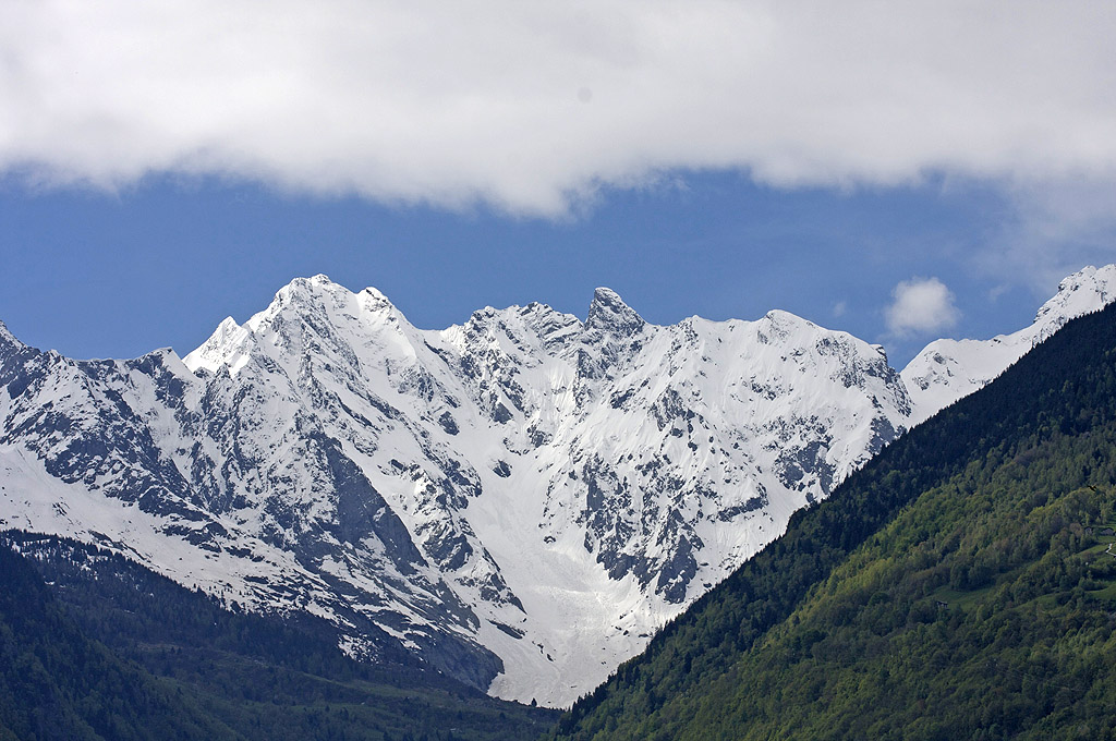 I Pani delle Alpi