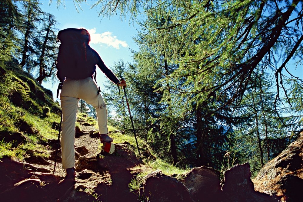 Trekking a Sappada in estate. Foto: M.Crivellari