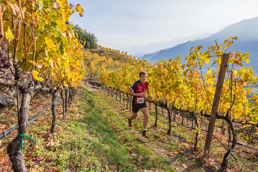 Valtellina Wine Trail 2020 annullata. Arrivederci all’autunno del 2021