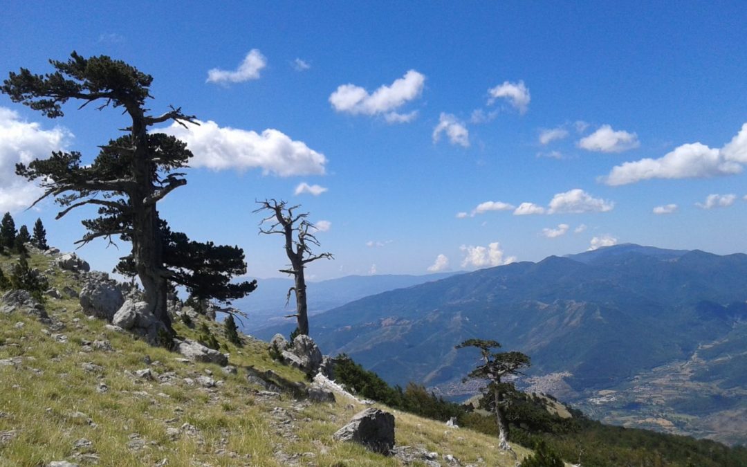 Outdoor in Basilicata: trekking sulla cima del Pollino