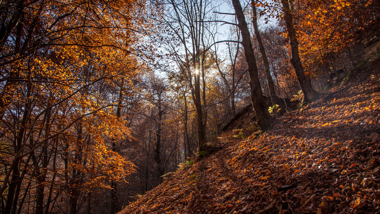 Parco Nazionale Val Grande - foto http://lorenzocamocardi.zenfolio.com/