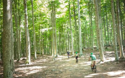 Classifica San Zeno di Montagna Mountain Bike Series 2025