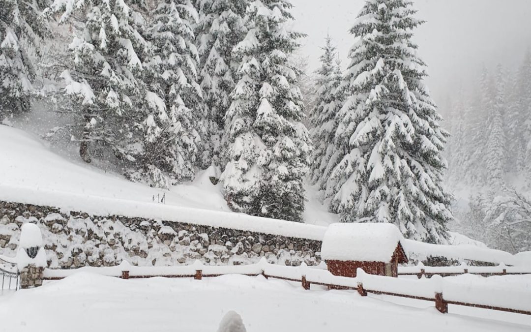 Video neve in Val Gardena 13 novembre 2019