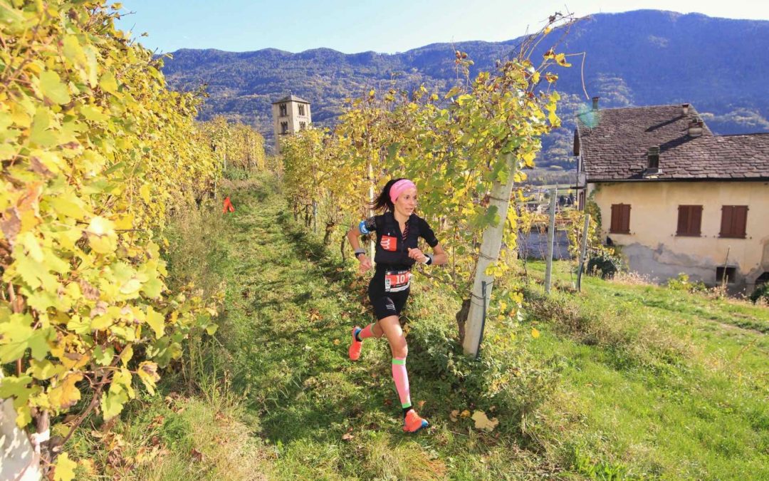 Valtellina Wine Trail 2021: disponibili alcuni pettorali per la 12 km