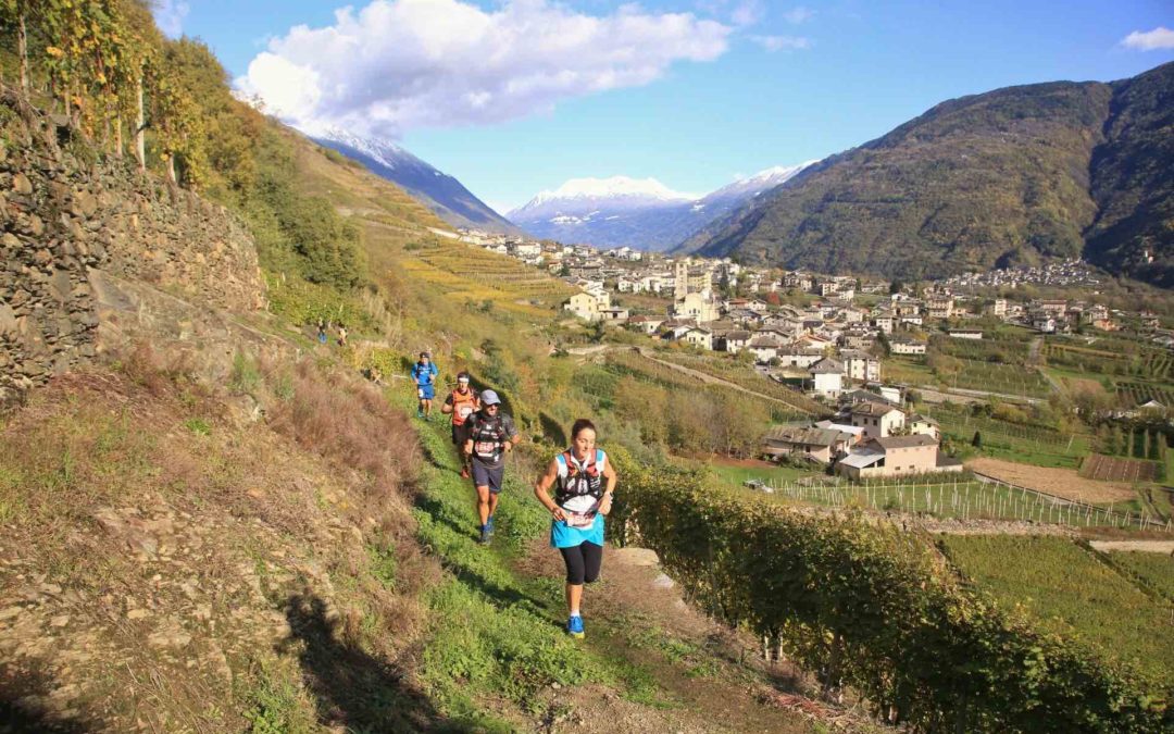 Valtellina Wine Trail 2021 al via con 2.800 atleti da 30 nazioni