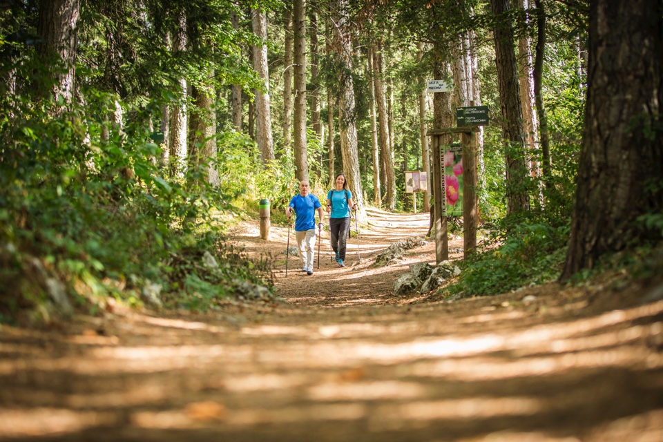 Il parco del respiro in Paganella: benessere camminando tra gli alberi