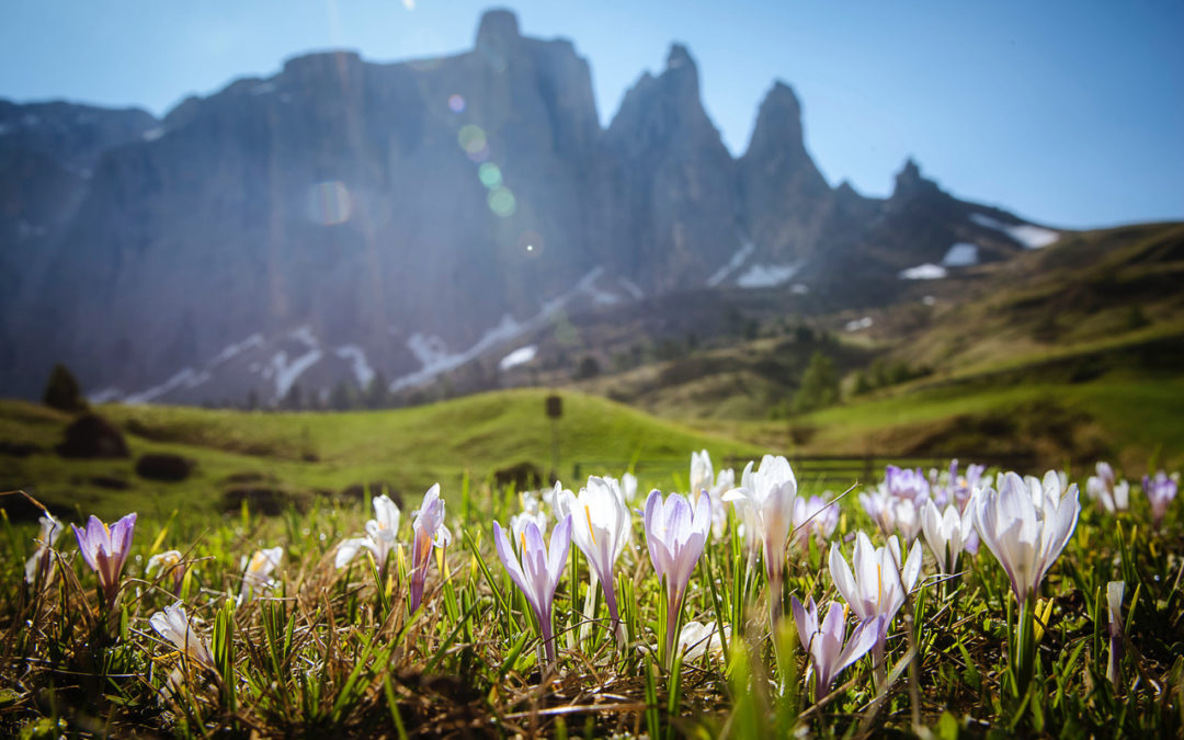 Calendario eventi Val Gardena estate 2024