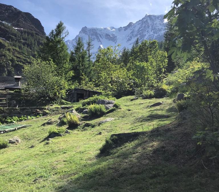 Musica in Alpeggio a Macugnaga Monte Rosa: date, orari, prenotazioni