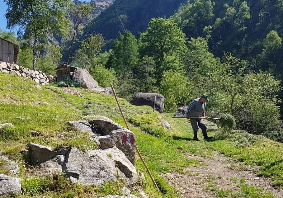 Alpfoodway, progetto di salvaguardia e valorizzazione del patrimonio alimentare delle Alpi