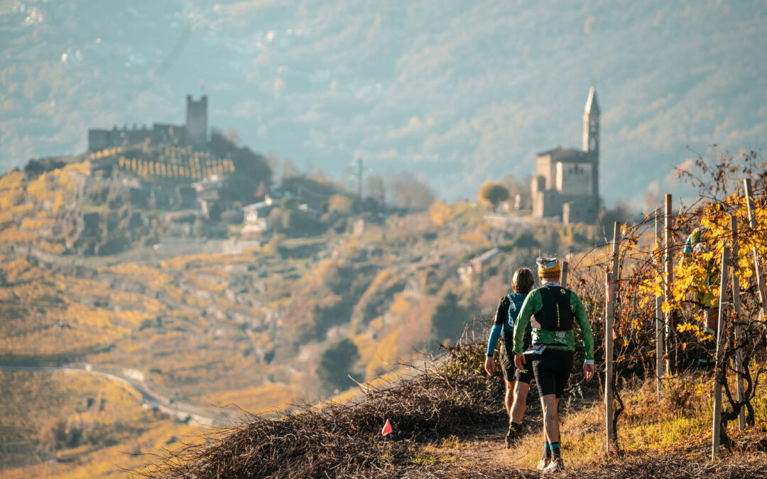 Valtellina Wine Trail 2022: al via 3000 concorrenti da 25 nazioni