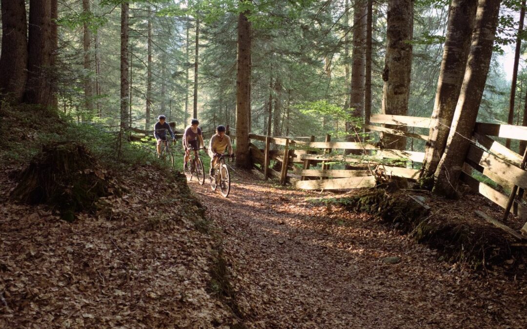 Gravel Bike in Tirolo: itinerari, alberghi, trasporti