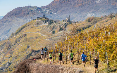 Valtellina Wine Trail 2023, corsa tra vigneti e paesi di montagna