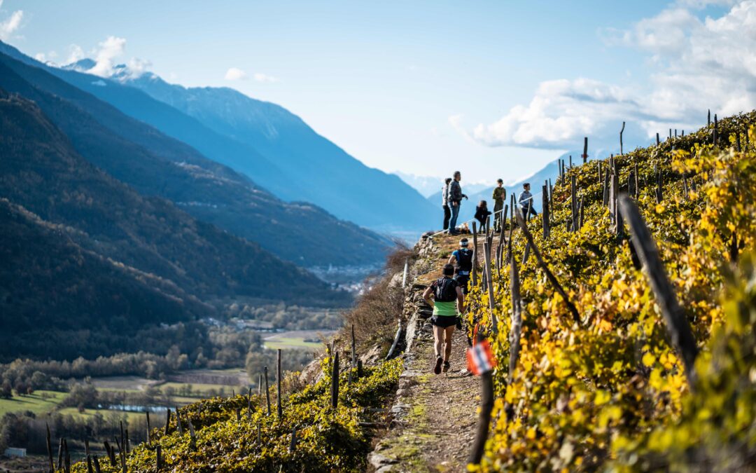 Diretta Video Valtellina Wine Trail 2023