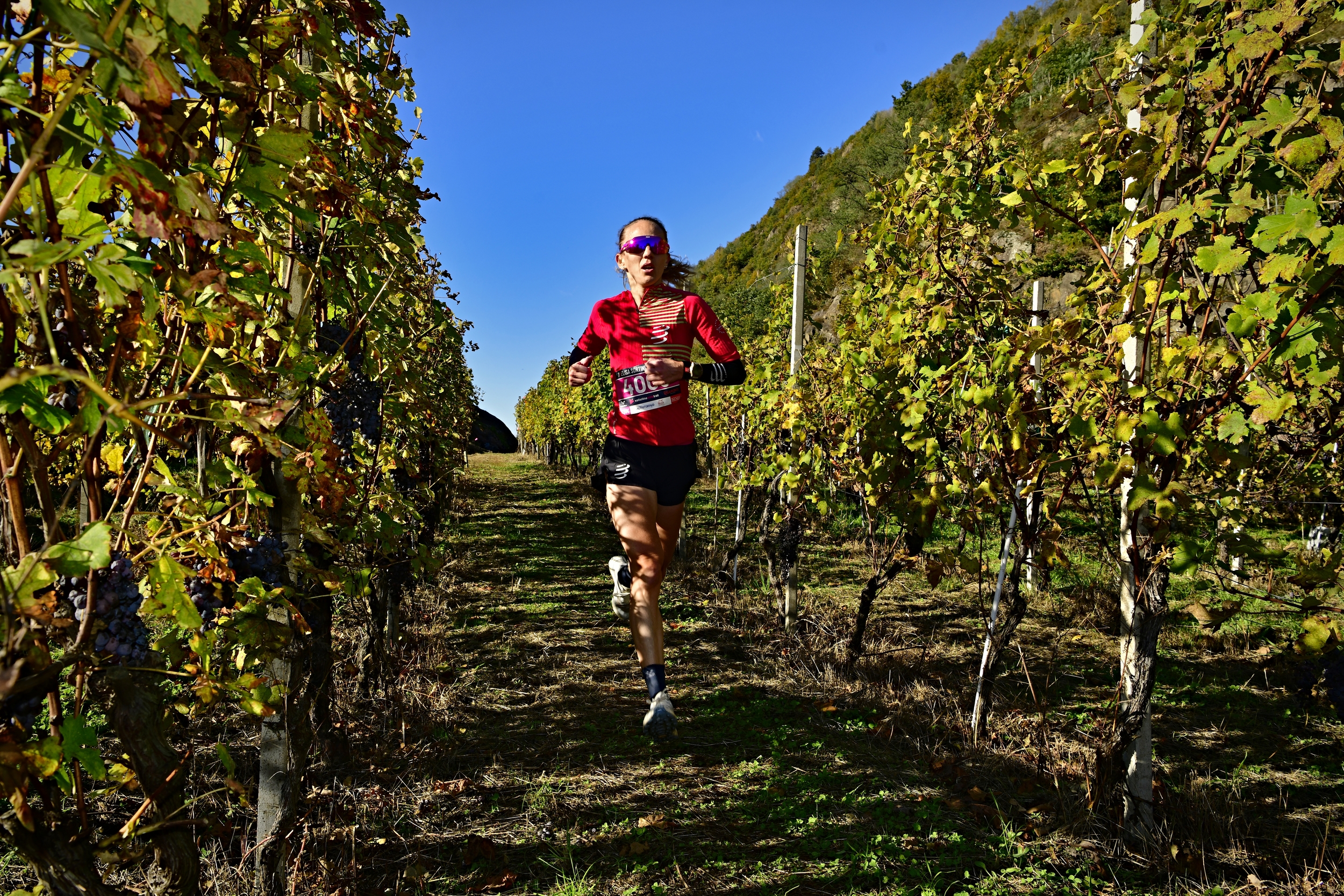 Valtellina Wine Trail 13 KM