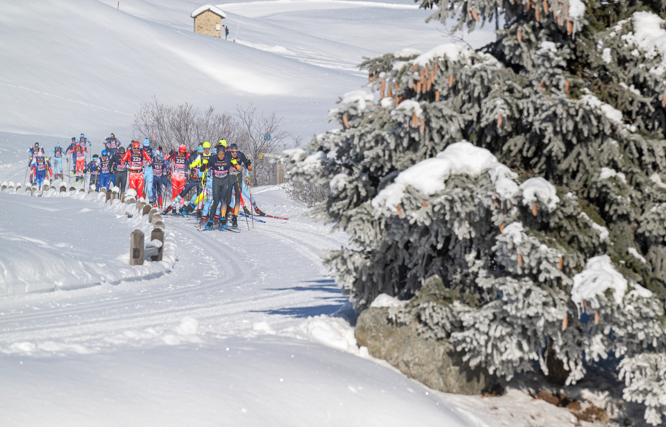 Livigno Sgambeda 2023