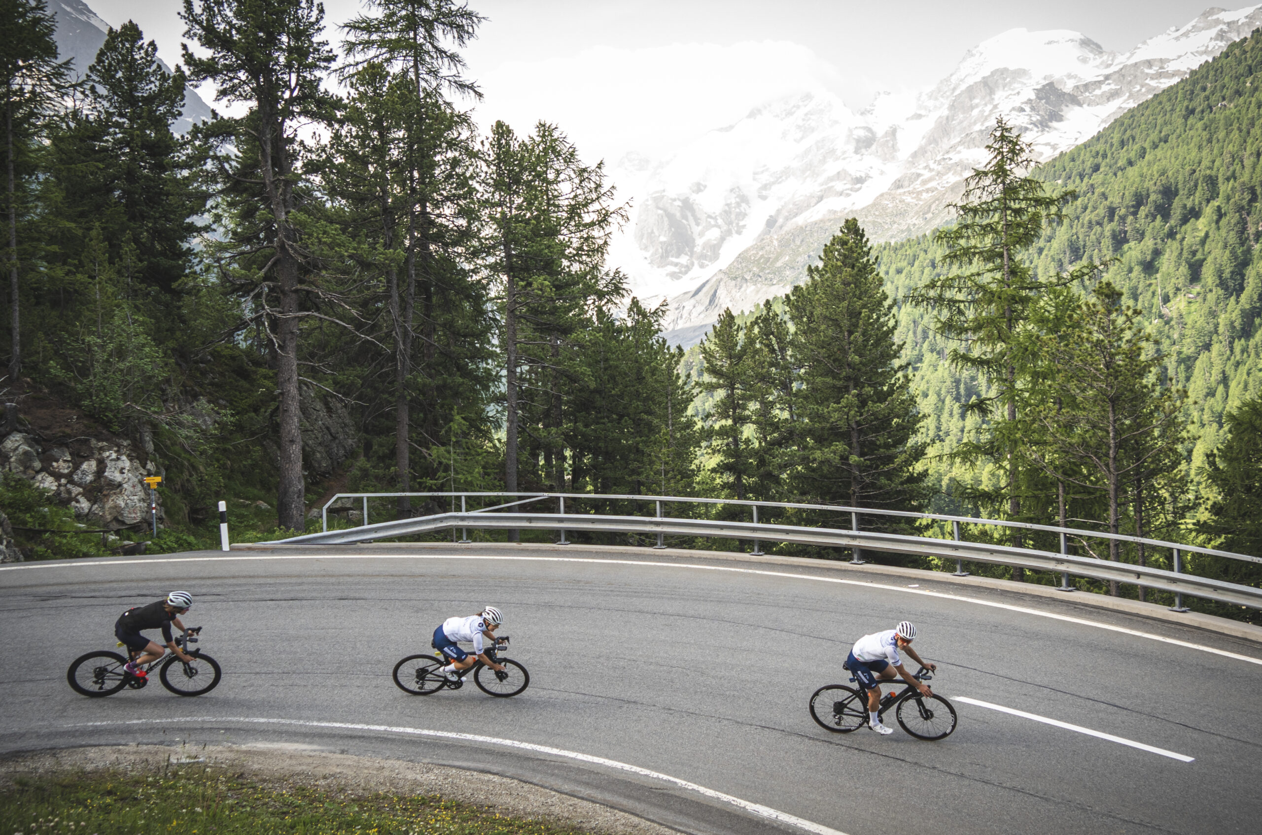 Granfondo Livigno Alè la Merckx 2024