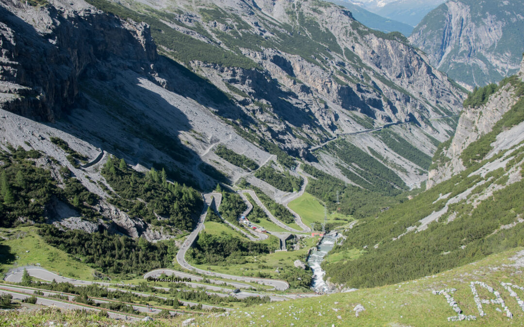 Fotografie Re Stelvio Mapei 2024