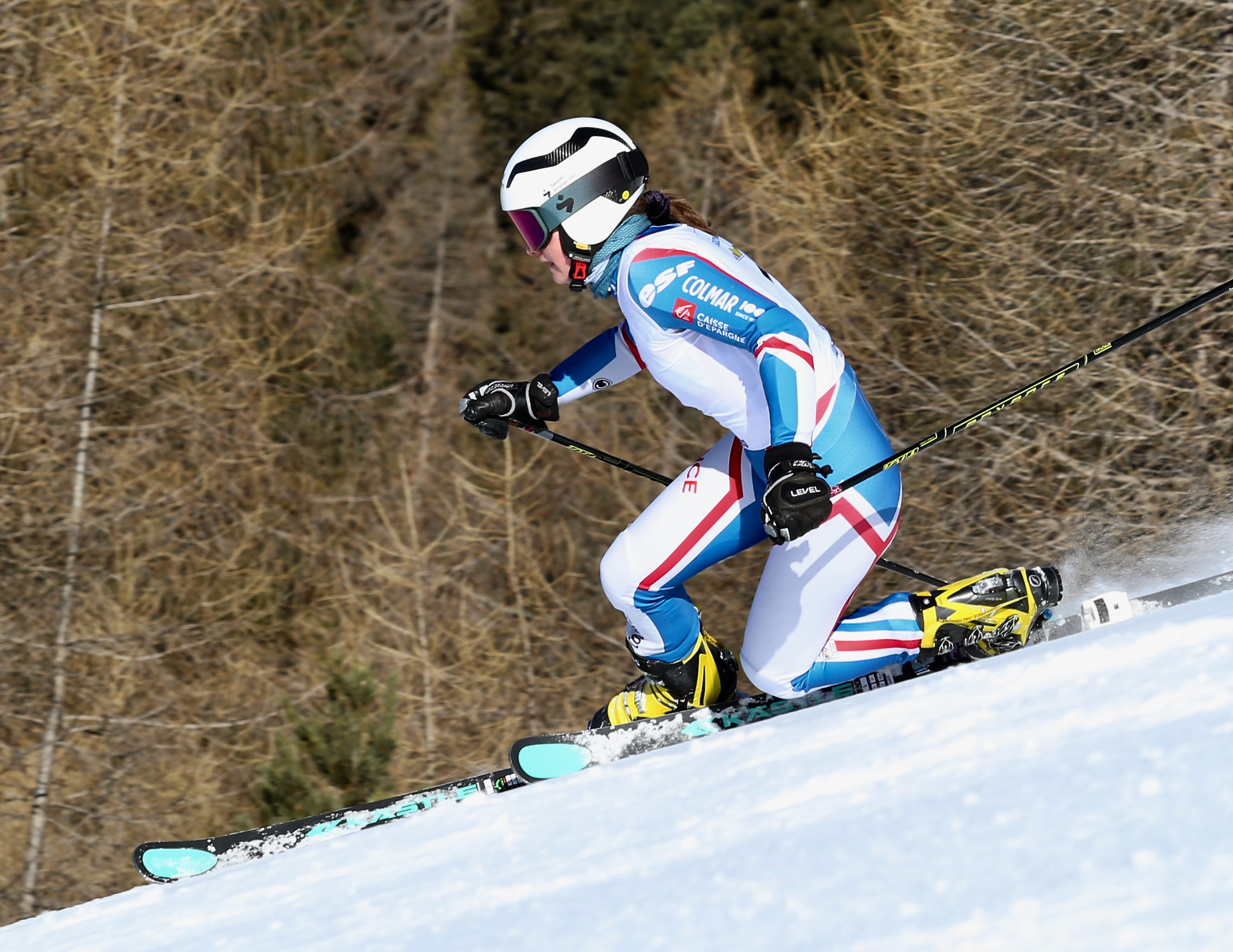 Telemark Carezza Dolomites 15 gennaio 2025
