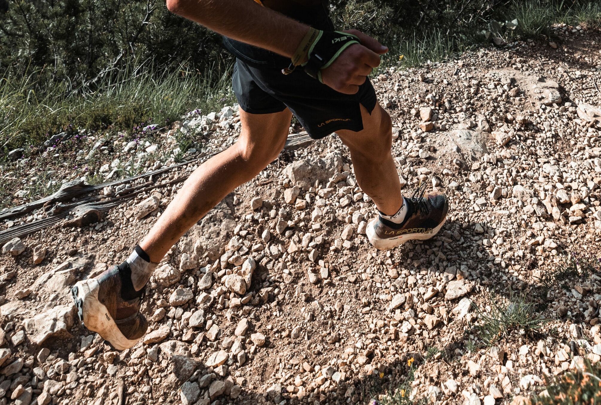 La Sportiva_Prodigio Pro_2025