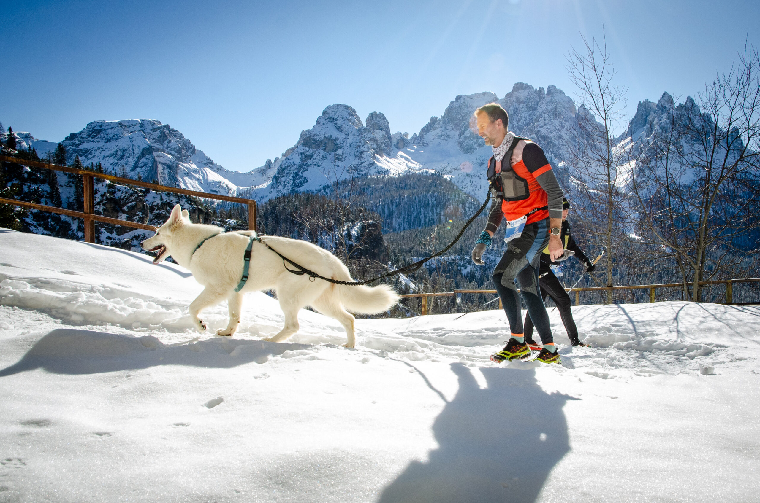 Misurina Winter Run 2025