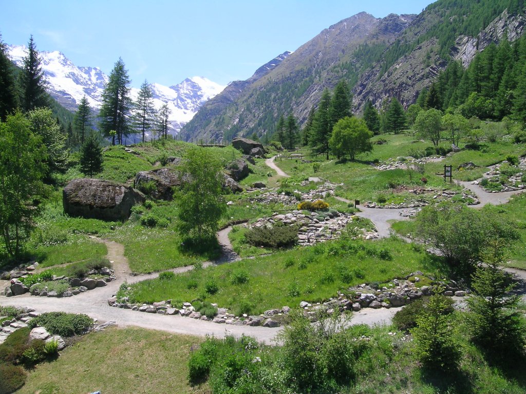 Apertura estiva del Giardino Botanico Alpino Paradisia di Cogne, nel Parco Gran Paradiso