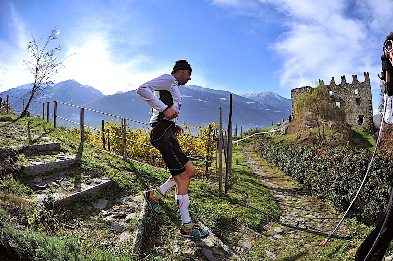 Valtellina Wine Trail 2014