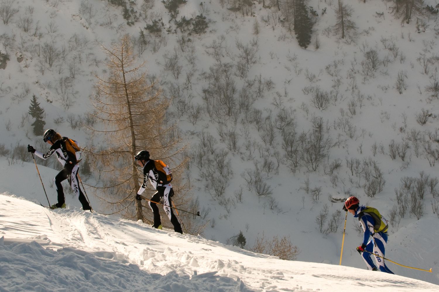 28a Transcavallo World Cup, coppa del mondo di scialpinismo