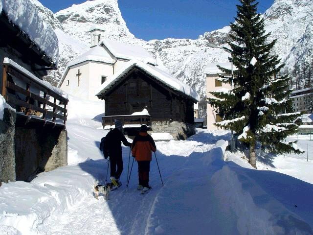 Ski Alp, stambecchi e predatori