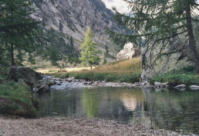 I parchi naturali delle Alpi Marittime e del Mercantour festeggiano in vetta