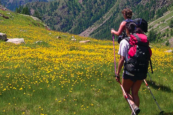 PerCorsi di Montagna, in Valle d’Aosta corsi gratuiti con le Guide Alpine