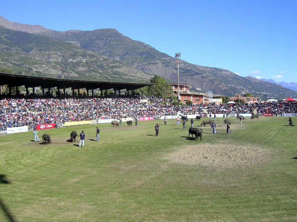 Aosta, la finale della â€œBataille des Reinesâ€ 2009